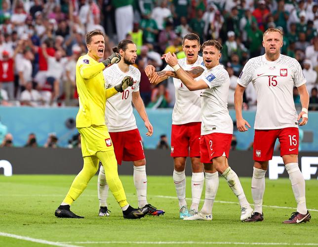 波兰之光：2012年欧洲杯波兰队的崛起之路