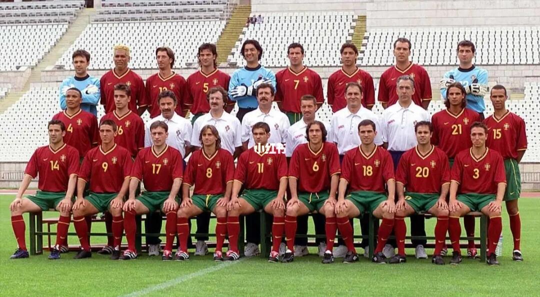 黄金之舟：葡萄牙队在2000年欧洲杯的辉煌之旅