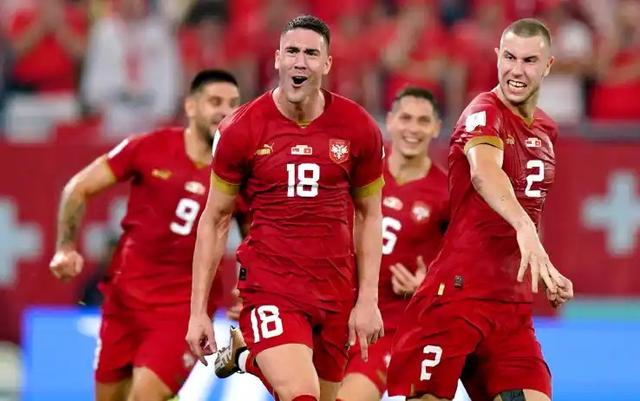塞尔维亚队：巴尔干雄鹰的欧洲杯征程